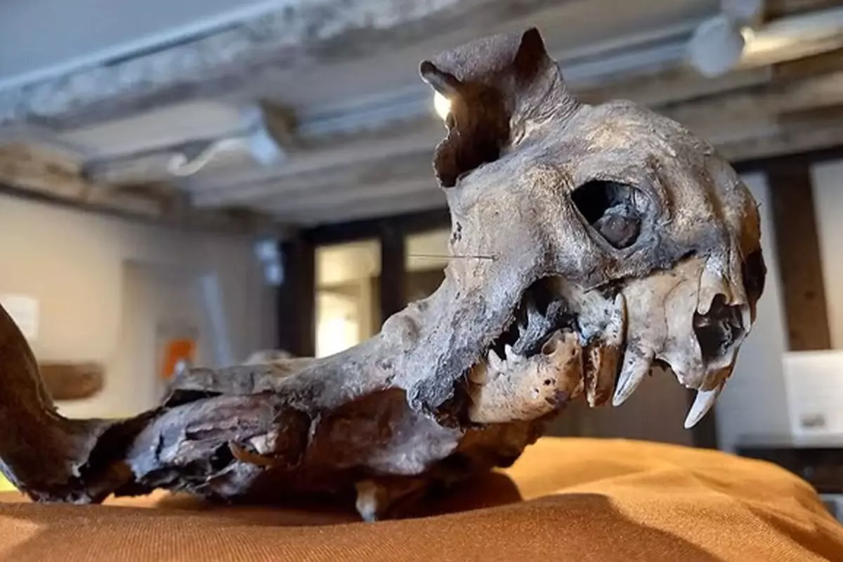 kilisenin duvarlari arasindan cikti tarihcileri dahi sasirtti ad9MXFuv.jpg