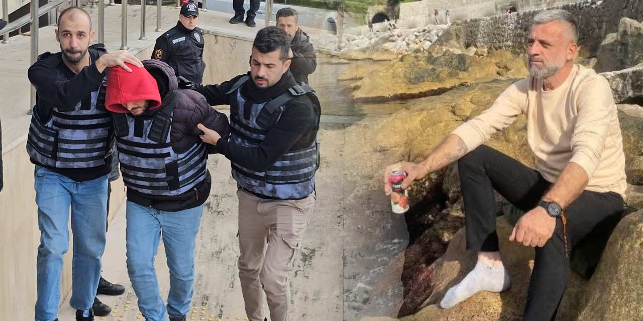 Hobi ile Başlayan Başarı: 20 Dönüm Araziden 70 Ton Organik Çilek Hasadı