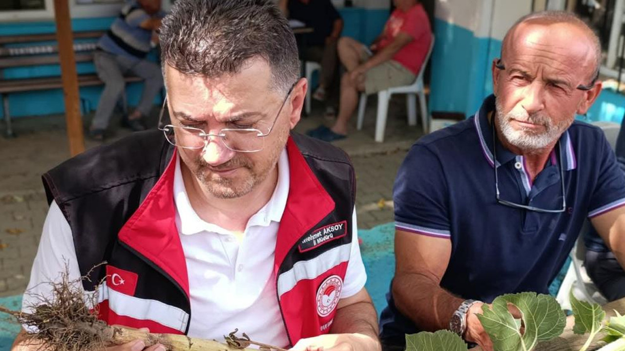Tekirdağ’da dolu yağışı sonrası tarım arazilerinde hasar tespiti sürüyor Haber gorseli