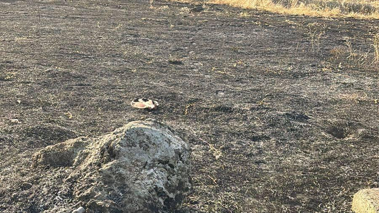 Bilecik’te elektrik direğinden çıkan kıvılcım yangın çıkardı Haber gorseli