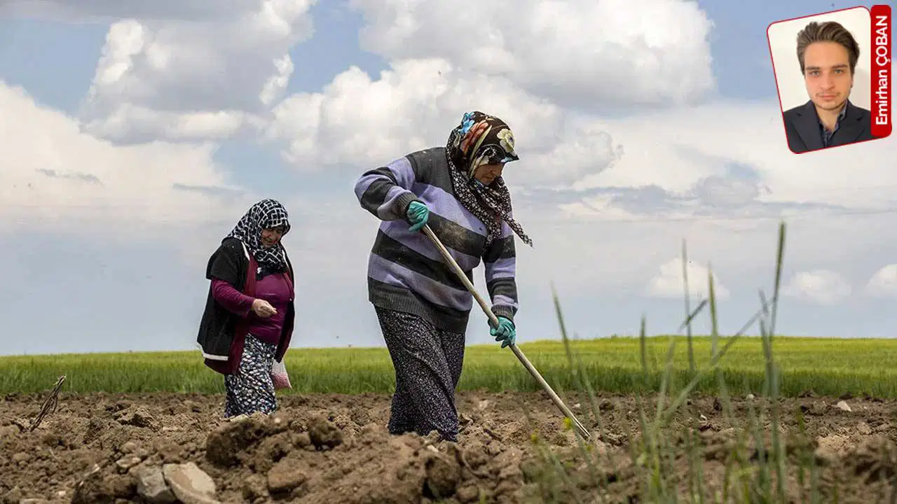 Yumaklı tarımsal hasılayla övünüyor, Türkiye kendi kendine yetemiyor: ‘Gerçek başarı, halkın gıdaya ne kadar ucuza erişebildiğidir’ Yumakli tarimsal hasilayla ovunuyor turkiye kendi kendine yetemiyor gercek basari halkin gidaya ne kadar rgrnlRTl